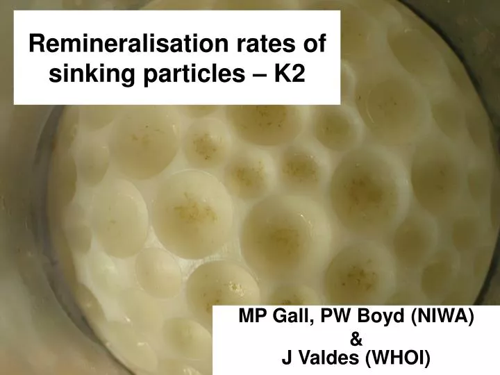 remineralisation rates of sinking particles k2
