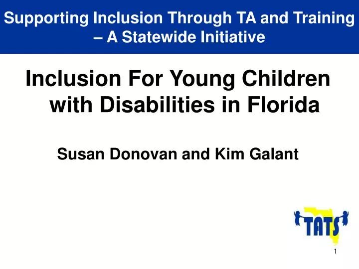supporting inclusion through ta and training a statewide initiative