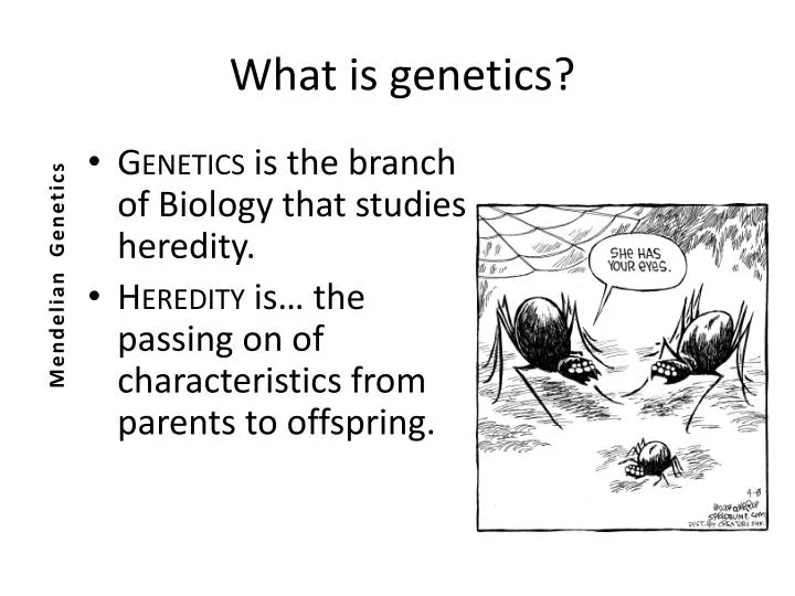 what is genetics