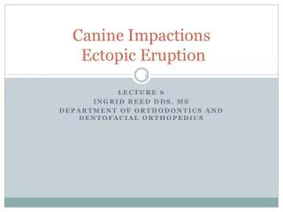 Canine Impactions Ectopic Eruption
