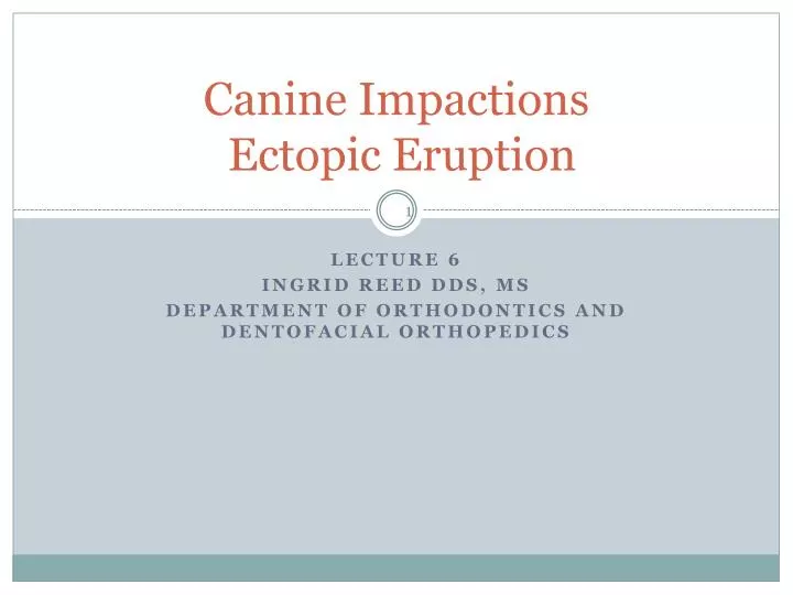 canine impactions ectopic eruption
