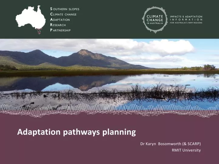 adaptation pathways planning