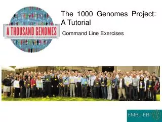 The 1000 Genomes Project: A Tutorial