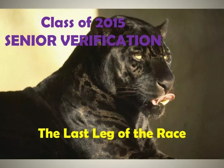 class of 2015 senior verification