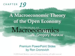 A Macroeconomic Theory of the Open Economy