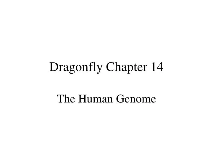 dragonfly chapter 14