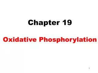 Chapter 19 Oxidative Phosphorylation