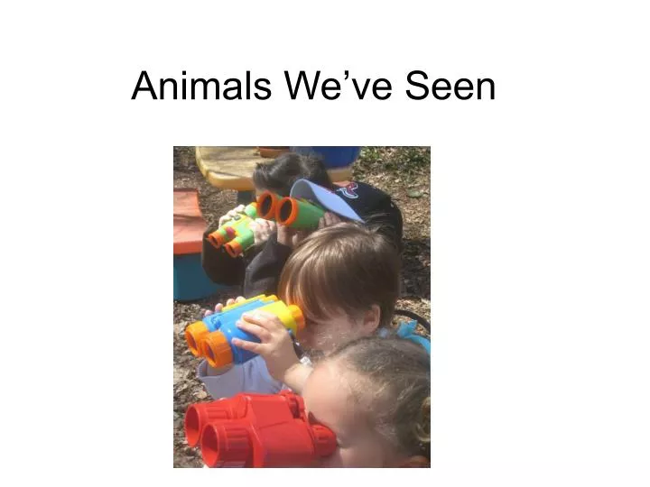 animals we ve seen