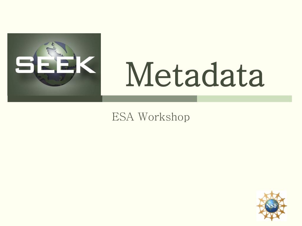PPT - Metadata PowerPoint Presentation, free download - ID:6306807