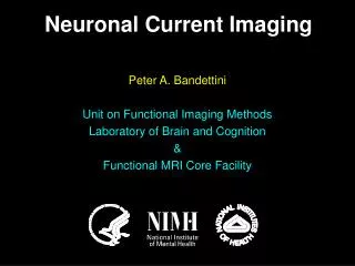 Peter A. Bandettini Unit on Functional Imaging Methods Laboratory of Brain and Cognition &amp;