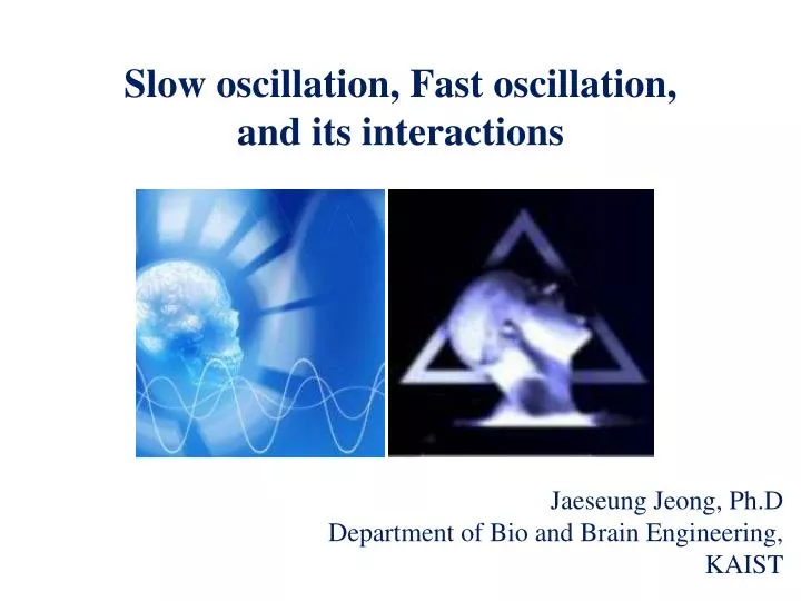 slow oscillation fast oscillation and its interactions