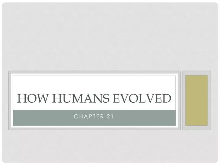 how humans evolved