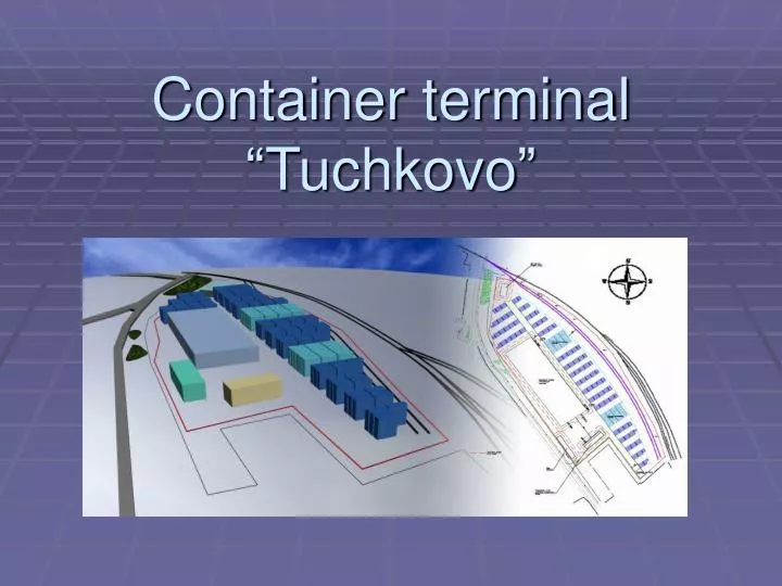 container terminal tuchkovo