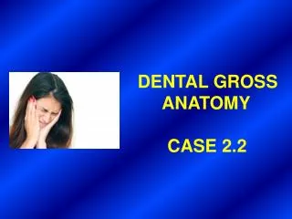 DENTAL GROSS ANATOMY CASE 2.2