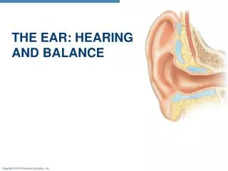 THE EAR: HEARING AND BALANCE