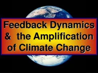 Feedback Dynamics &amp; the Amplification of Climate Change