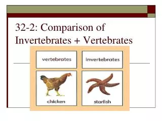 32-2: Comparison of Invertebrates + Vertebrates