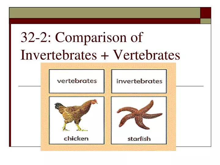 32 2 comparison of invertebrates vertebrates