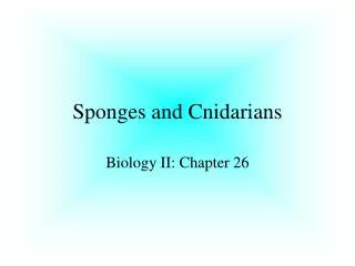 sponges and cnidarians