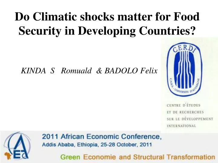 do climatic shocks matter for food security in developing countries