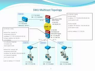 SWU Multicast Topology