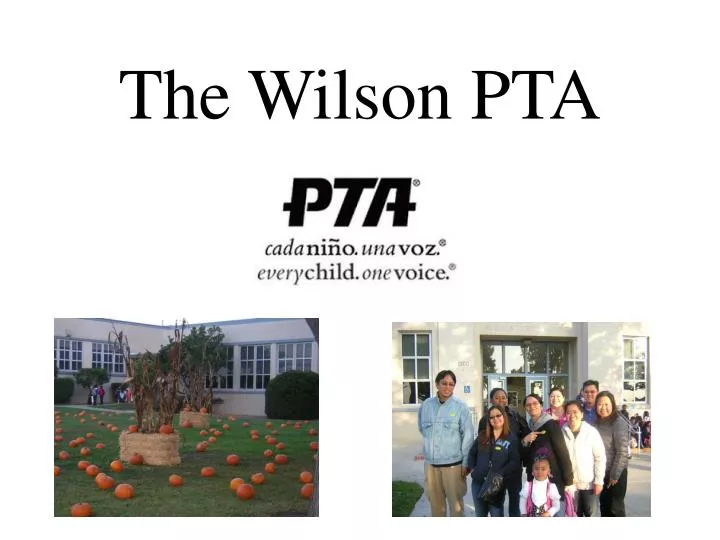 the wilson pta