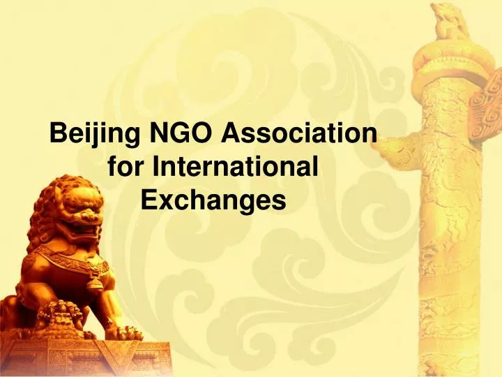 beijing ngo association for international exchanges