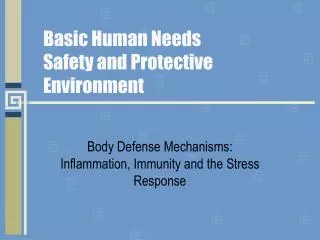 Basic Human Needs Safety and Protective Environment