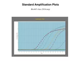 Standard Amplification Plots