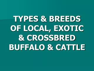 types breeds of local exotic crossbred buffalo cattle