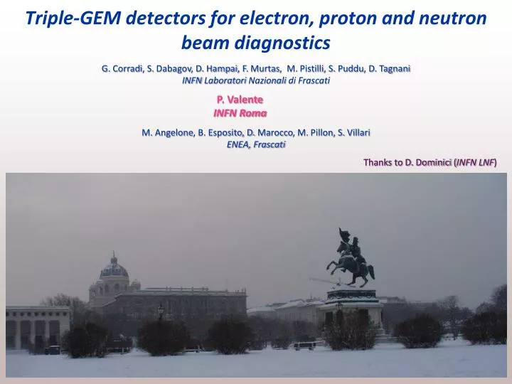 triple gem detectors for electron proton and neutron beam diagnostics