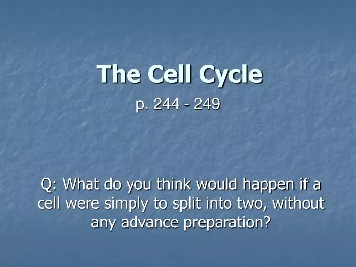 the cell cycle