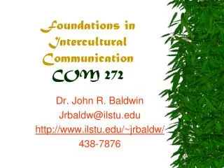 Foundations in Intercultural Communication COM 272
