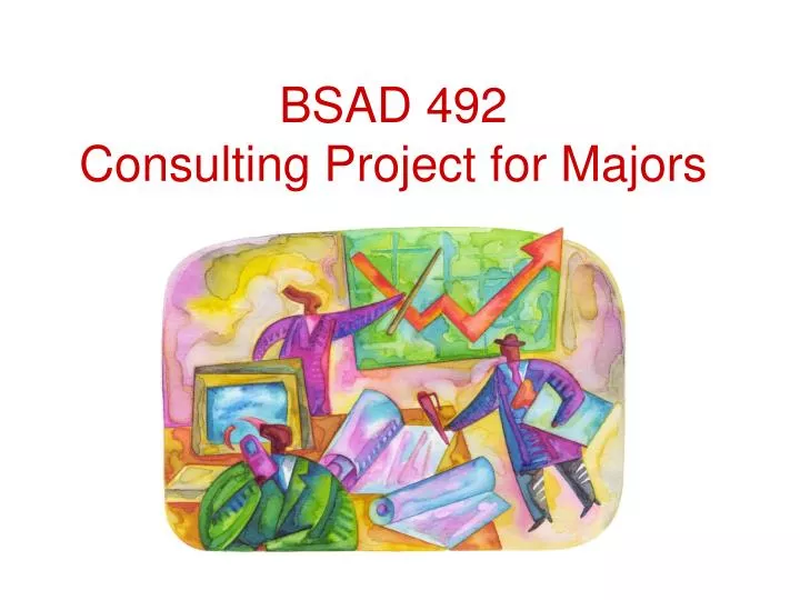 bsad 492 consulting project for majors