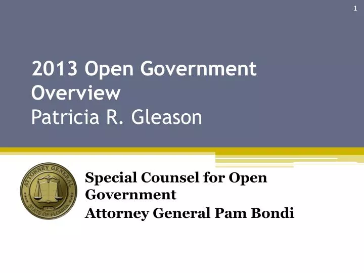 2013 open government overview patricia r gleason