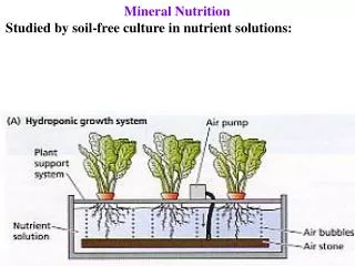 Mineral Nutrition Studied by soil-free culture in nutrient solutions: