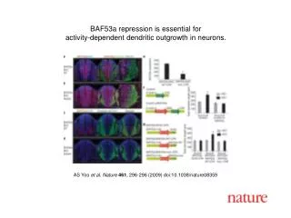 AS Yoo et al. Nature 461 , 296 - 296 (2009) doi:10.1038/nature08 359