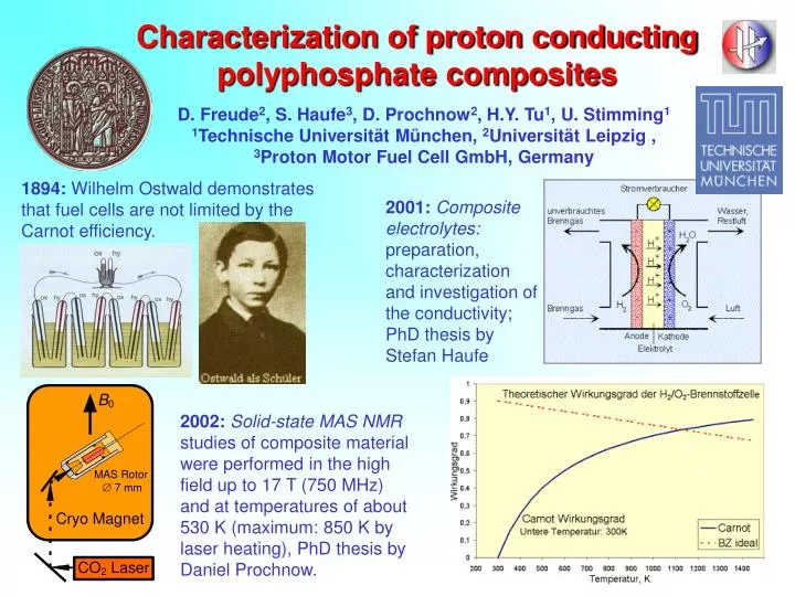 characterization of proton conducting polyphosphate composite s