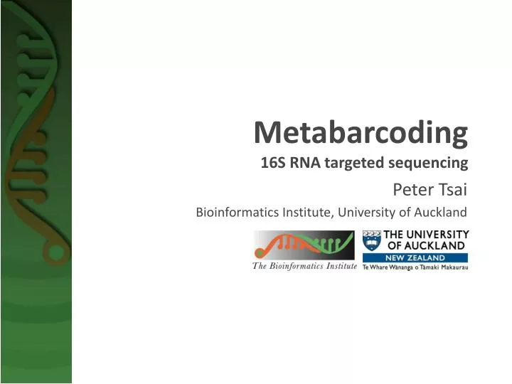 metabarcoding 16s rna targeted sequencing