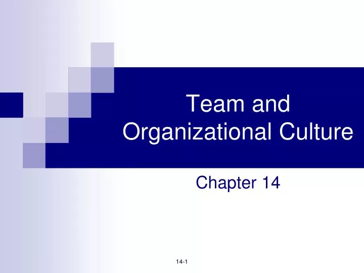 team and organizational culture