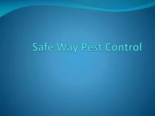 Create a pest-free work environment with pest control termit