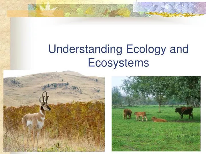understanding ecology and ecosystems