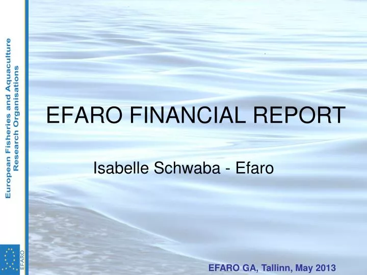 efaro financial report