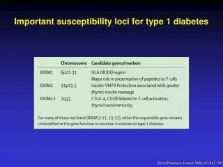 Important susceptibility loci for type 1 diabetes