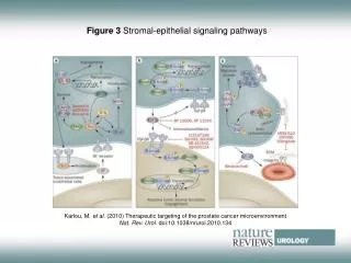 Figure 3 Stromal-epithelial signaling pathways