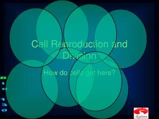 Cell Reproduction and Division