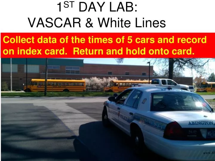 1 st day lab vascar white lines