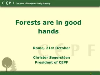 Forest s are in good hands