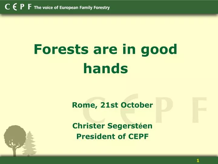 forest s are in good hands