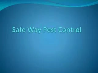 Create a pest-free work environment with pest control termit